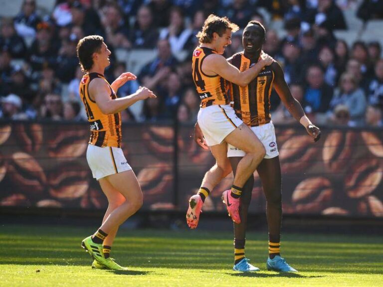 Red-hot Hawks crush Carlton, rocket into the AFL’s top eight